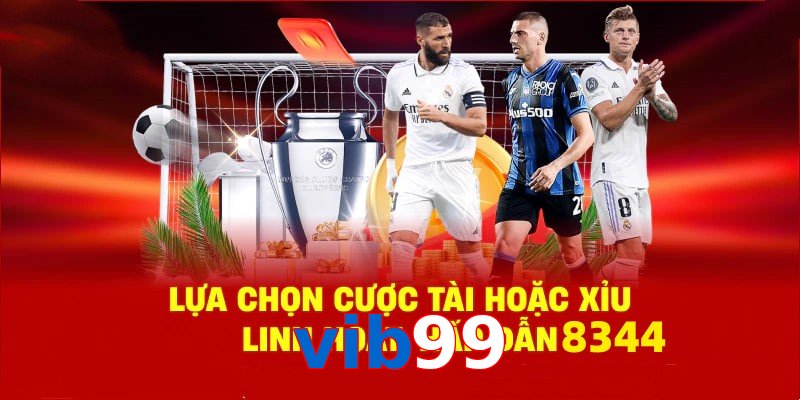 Danh mục đa dạng, đoán chuẩn là nhận tiền