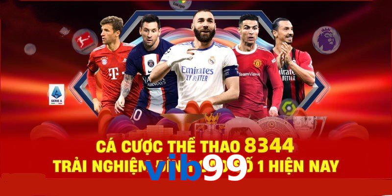 Đá Gà Philippines – Tinh Hoa Truyền Thống Và Thể Thao 